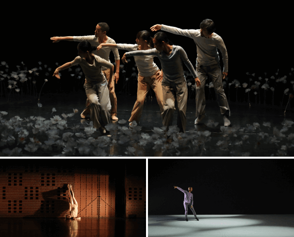 Yokohama Dance Collection